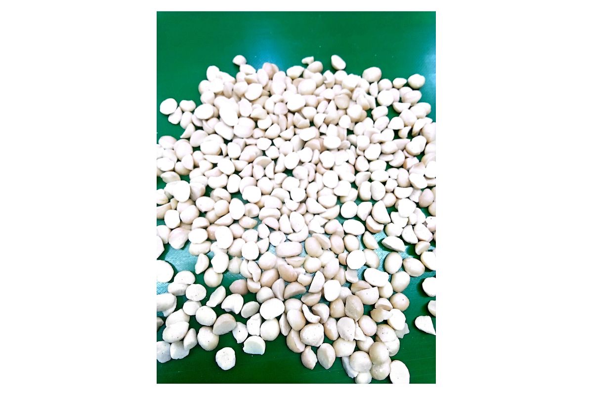 Style 4S Macadamia Nuts - Semi Processed from Kenya